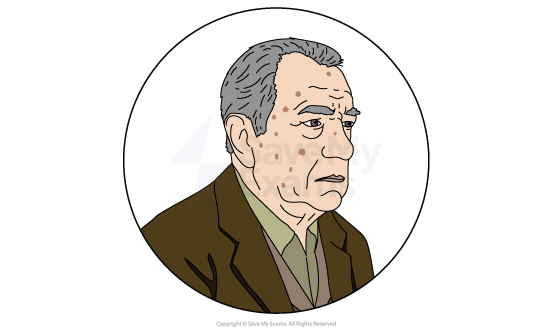 Image of Keckwick from The Woman in Black: Elderly man with grey hair and wearing a brown jacket over a green shirt, with a serious expression, depicted in a circular frame.