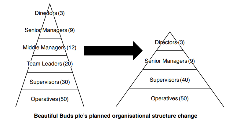 Two pyramids show Beautiful Buds plc's organisational change: roles consolidate from Directors to Operatives, reducing levels and team leaders.