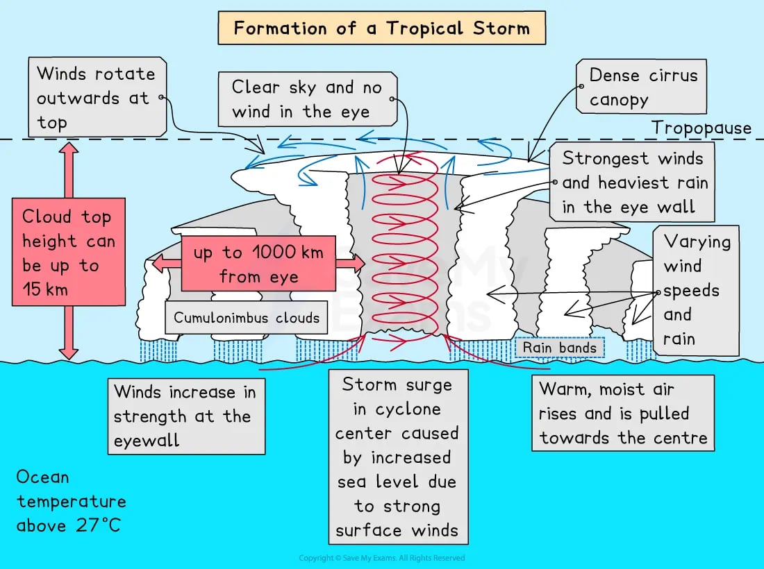 Diagram depicting tropical storm formation, showing cloud structure, wind rotations, eye wall, warm air rising, and storm surge due to increased sea level.