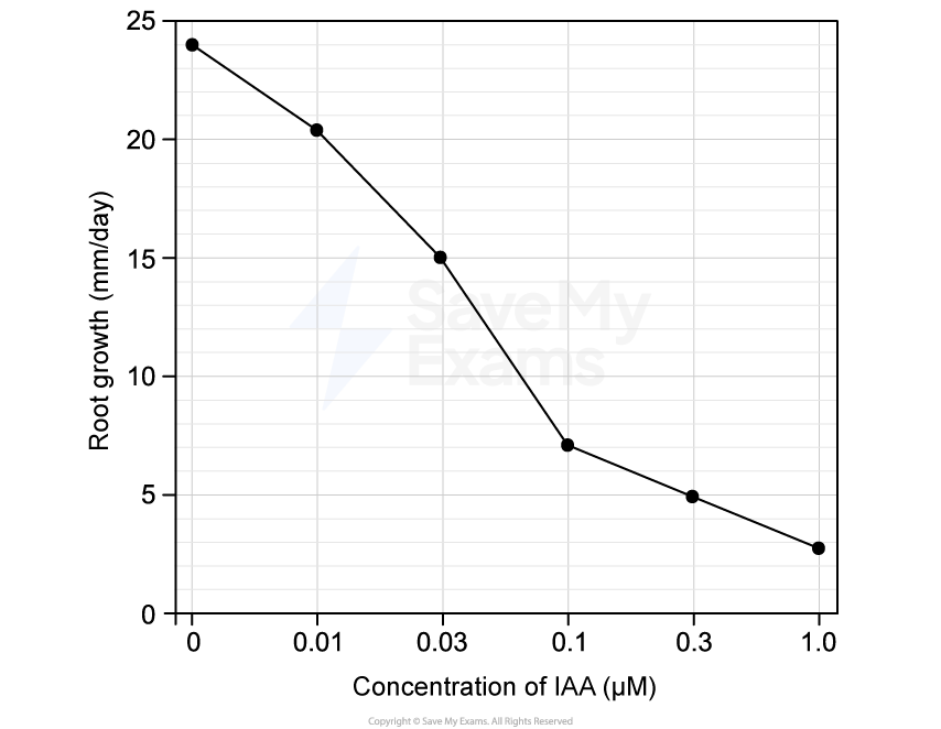 q2a_9-3_growth_in_plants_medium_ib_hl_biology_sq