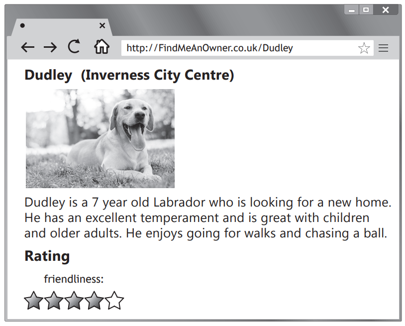 Web page for Dudley, a 7-year-old Labrador from Inverness, seeking a home. Black and white image of Dudley on grass, rated 4 stars for friendliness.