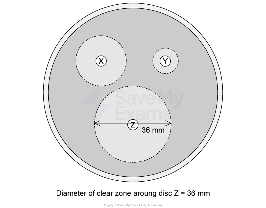 Circular diagram with three discs labelled X, Y, and Z. Disc Z has a 36 mm clear zone around it.