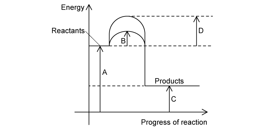 Energy vs progress diagram. Reactants at higher level than products. Two peaks: lower and higher.
Different arrow displayed
A = x axis to reactants.
B = reactants to lower peak.
C = x axis to products.
D = reactants to higher peak.