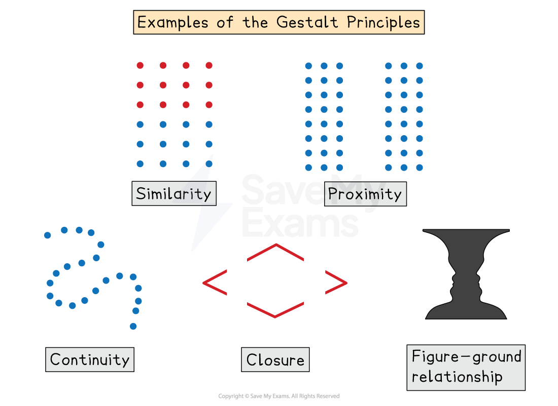 Examples of Gestalt principles with dotted patterns for similarity, proximity, continuity, closure, and a vase-face illusion for figure-ground relationship.