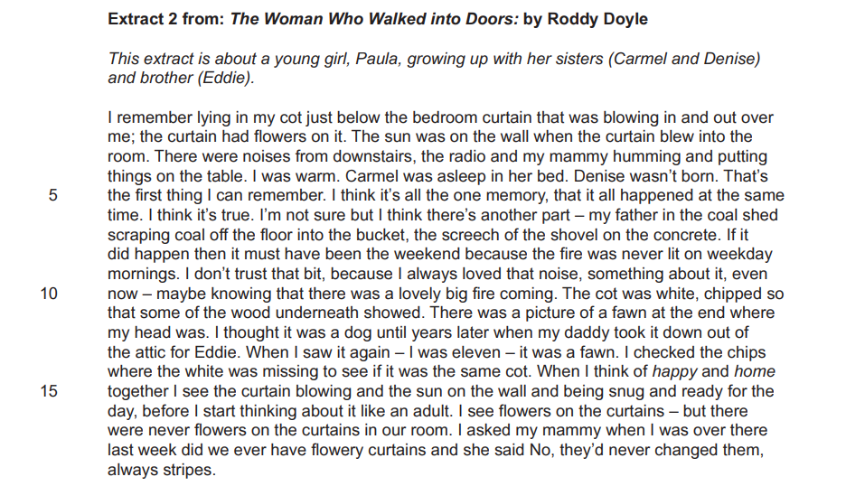 Text extract from "The Woman Who Walked into Doors" by Roddy Doyle, describing Paula's childhood memories with her siblings and family environment.