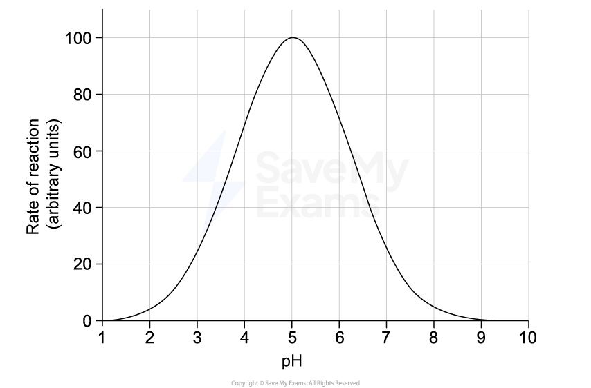 Graph showing a bell curve with rate of reaction on the y-axis and pH on the x-axis, peaking at pH 5 with a maximum rate of 100 units.