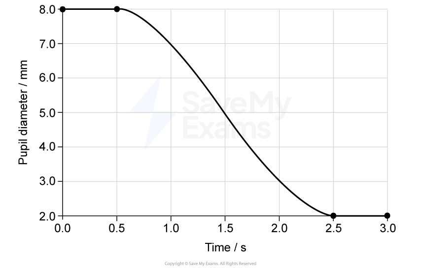 Graph of pupil diameter vs time, showing a decrease from 8 mm to 2 mm over 3 seconds, with an initial flat section followed by a steep decline.