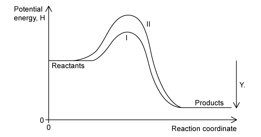 Graph of potential energy vs reaction coordinate showing two curves labelled I and II. The graph has a labelled part Y, drawn from the energy of reactants to the energy of the products.  Curve labelled I has lower activation energy than II