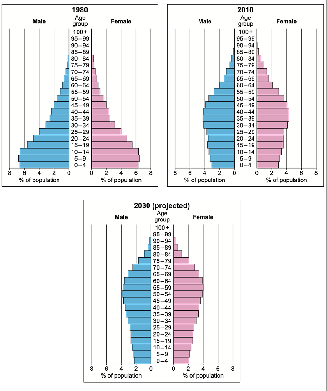 Three population pyramids for 1980, 2010, and projected 2030, showing male and female age distribution. Each pyramid narrows at the top.