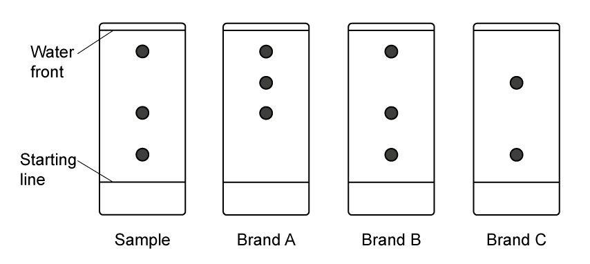 Four vertical strips labelled Food Colouring, Brand A, B, C with dots showing solvent front and starting line. Each strip has 2 to 3 dots indicating spots.