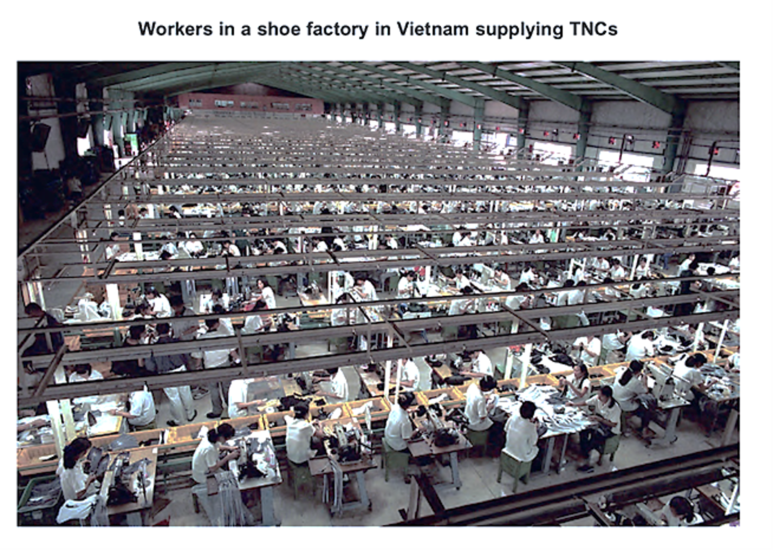 Workers at sewing machines in a large Vietnamese shoe factory, arranged in long rows under a high ceiling, focusing on production tasks.