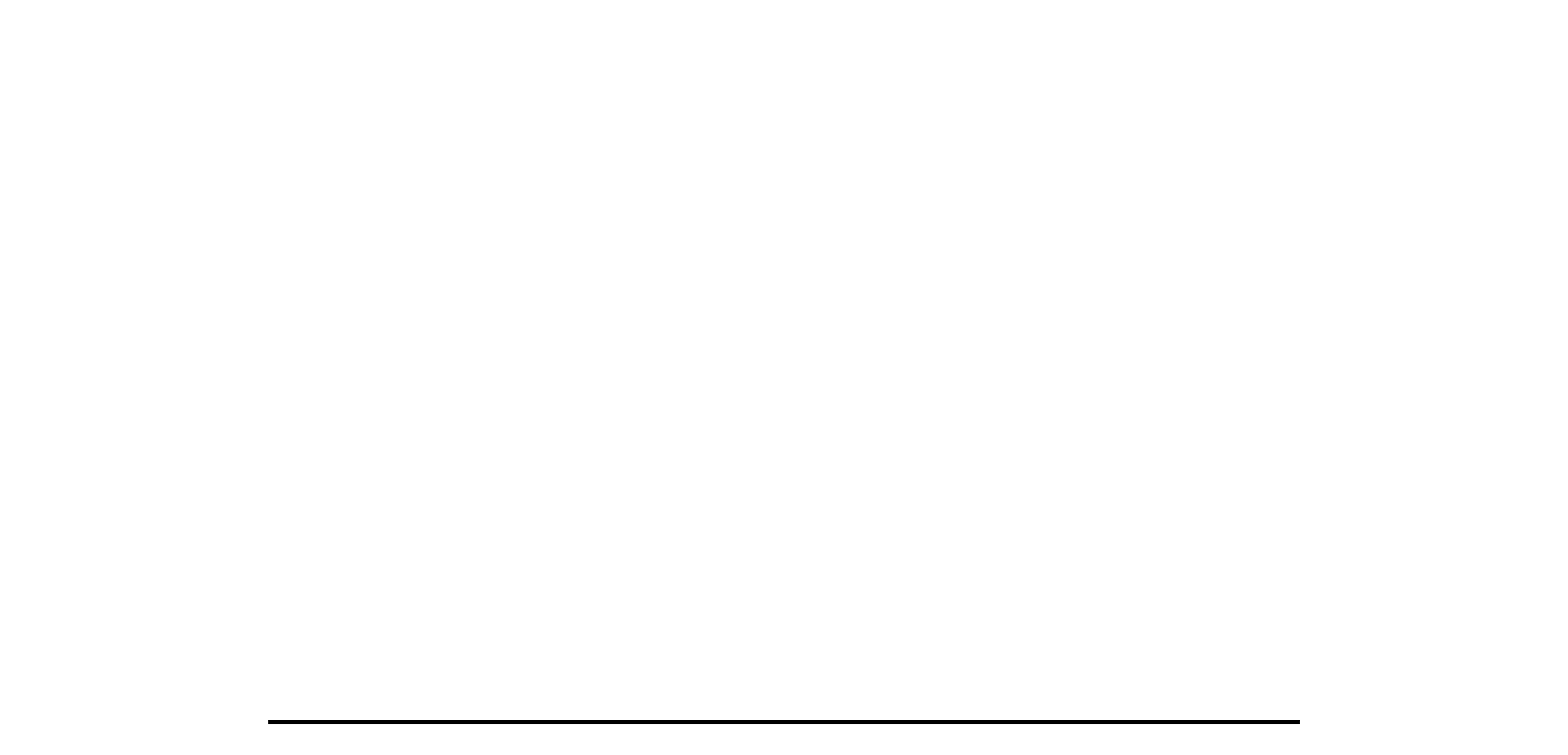 A single straight black line at the bottom of a blank white background.