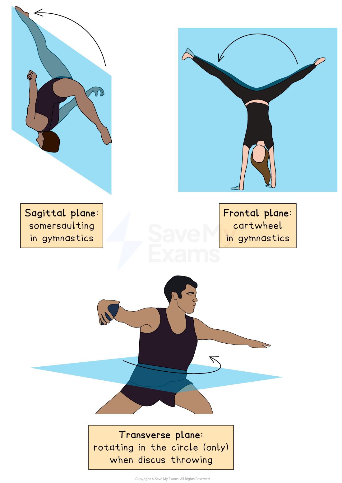 Sagittal plane: gymnast somersaulting; frontal plane: gymnast doing a cartwheel; transverse plane: athlete rotating during discus throw.