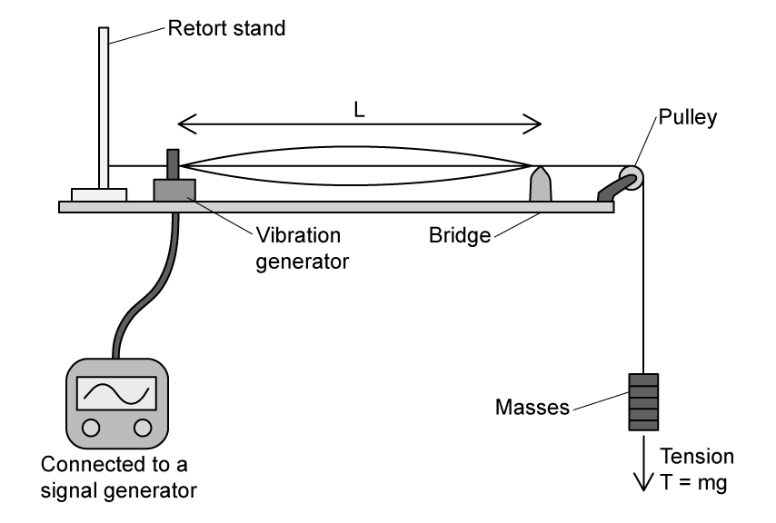 A vibration generator attached to one end of a rope. The rope is stretched horizontally along a bench. A ruler is placed next to the rope.
