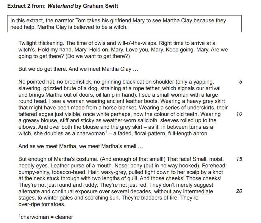 Text excerpt from "Waterland" by Graham Swift describing a visit to Martha Clay, believed to be a witch, with vivid details of her appearance and setting.