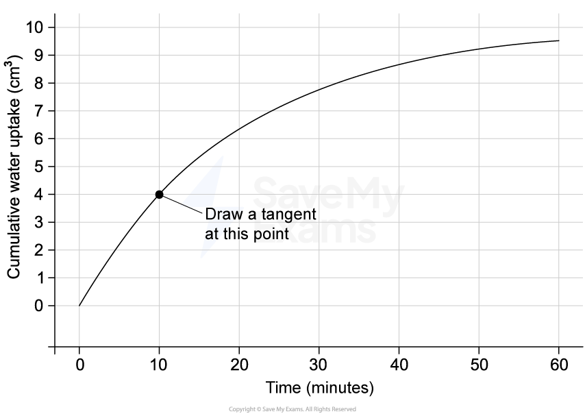 Graph showing cumulative water uptake over time, in cm³, curving upwards. A point at 10 minutes, 3 cm³ is highlighted with a tangent line suggestion.