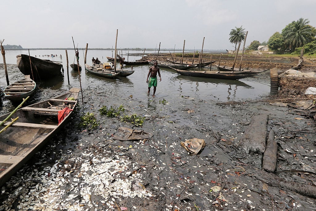 Man standing in a polluted, muddy river with several wooden boats nearby, and dead fish scattered along the water’s edge. Palm trees and a house in the background.
