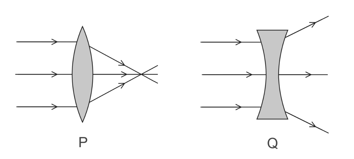 Lens P: parallel rays enter from the left and converge to a focal point on the right side of the lens.
Lens Q: parallel rays enter from the left and diverge (spread out) after passing through the lens.