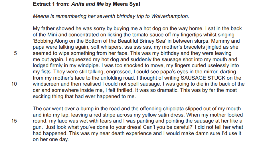 Text from "Anita and Me" by Meera Syal about Meena's 7th birthday, detailing an incident with a hot dog in the car, creating tension and amusement.