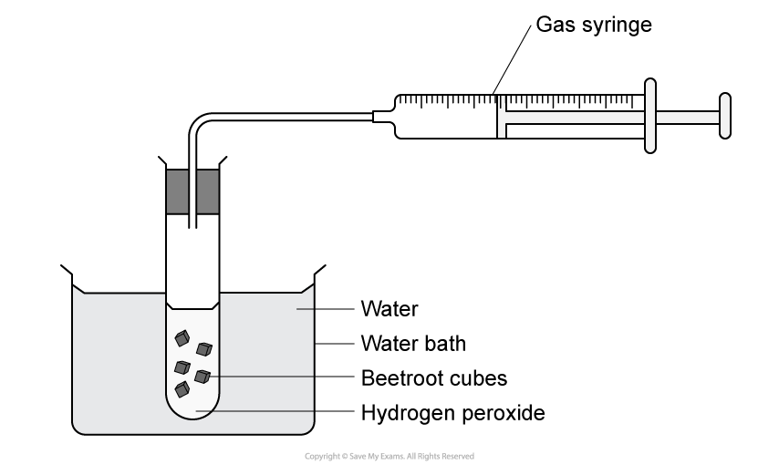 Experimental setup hydrogen peroxide decomposition 