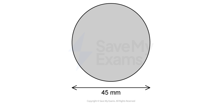 Drawing of S. aureus cell