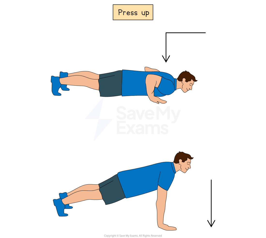 Two steps of a press-up: first, body lowered with elbows bent; second, body raised with arms straight. Person wears a purple shirt and red shorts.
