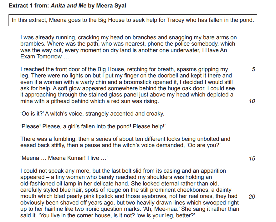 Text extract from "Anita and Me" by Meera Syal. Meena seeks help for Tracey, who fell in a pond. She knocks on a door, encounters a witch-like figure.