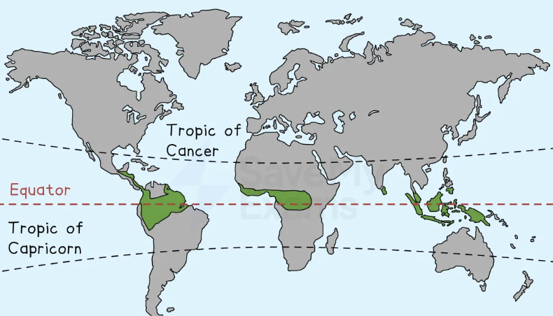 World map showing zones between Tropic of Cancer and Tropic of Capricorn, highlighting regions in green close to the Equator across continents.