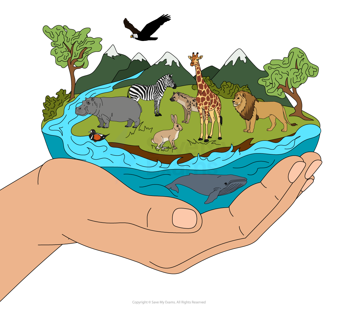 Hands gently cradle an ecosystem featuring diverse animals, mountains, water, and trees against a clear sky, symbolising harmony with nature.