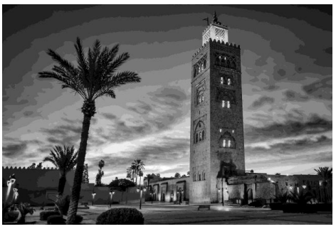 A tall, ornate tower looms against a dramatic evening sky, surrounded by palm trees and a silhouette of historic buildings.