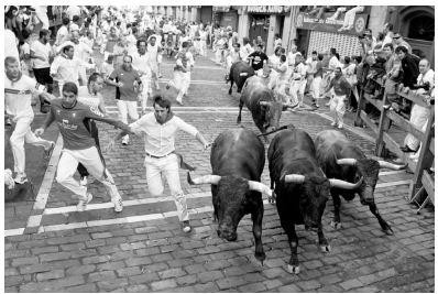 Crowd participating in the Running of the Bulls, with people sprinting alongside bulls on a cobbled street, flanked by spectators on both sides.