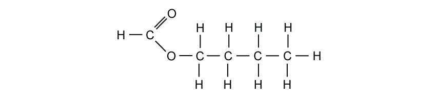 H–C(=O)–O–C–C–C–C–H. Carbonyl carbon double-bonded to O and single-bonded to O and H. Four-carbon chain attached; terminal C has three H, internal C each two H.