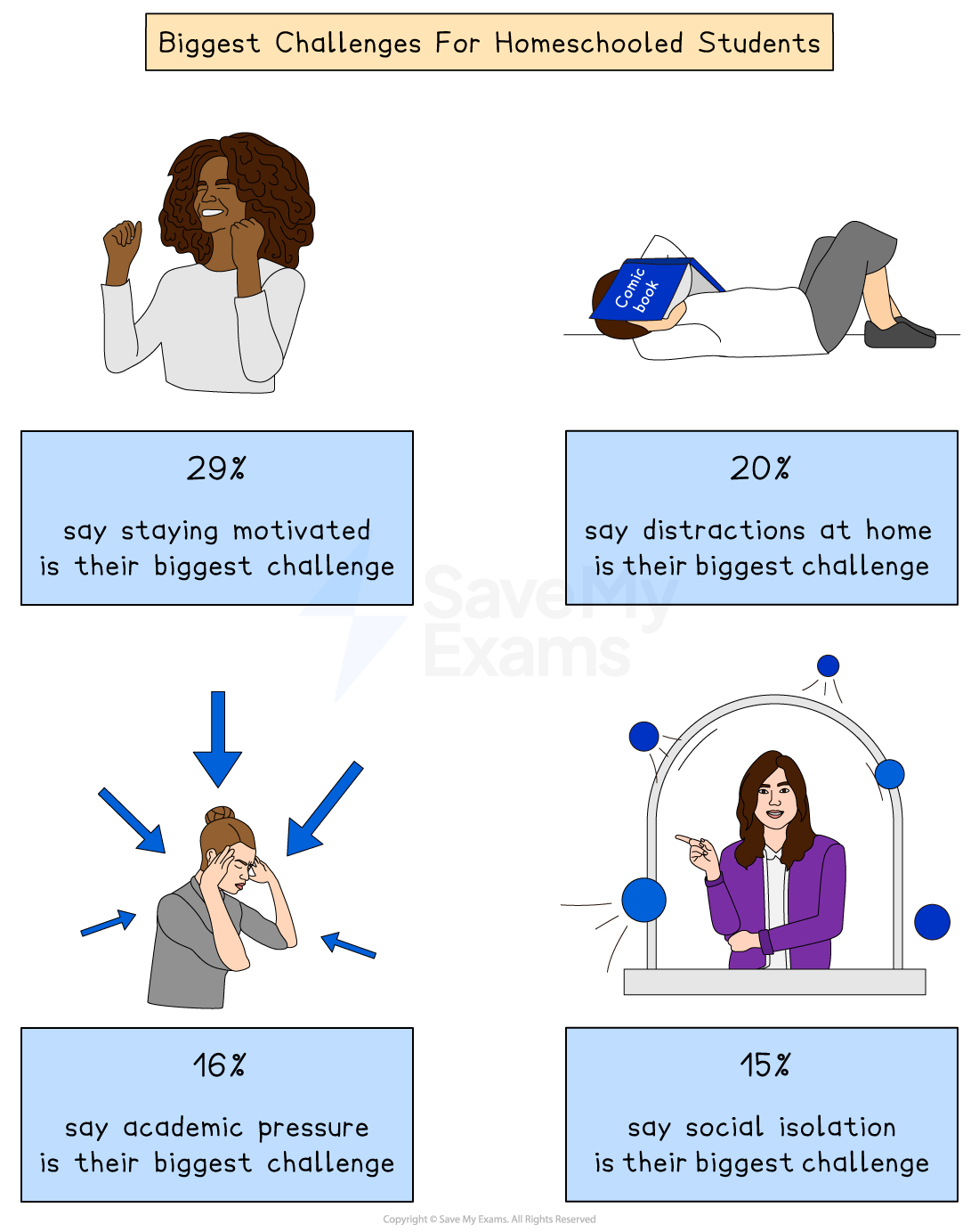 Graphic showing the biggest challenges for homeschooled students. 