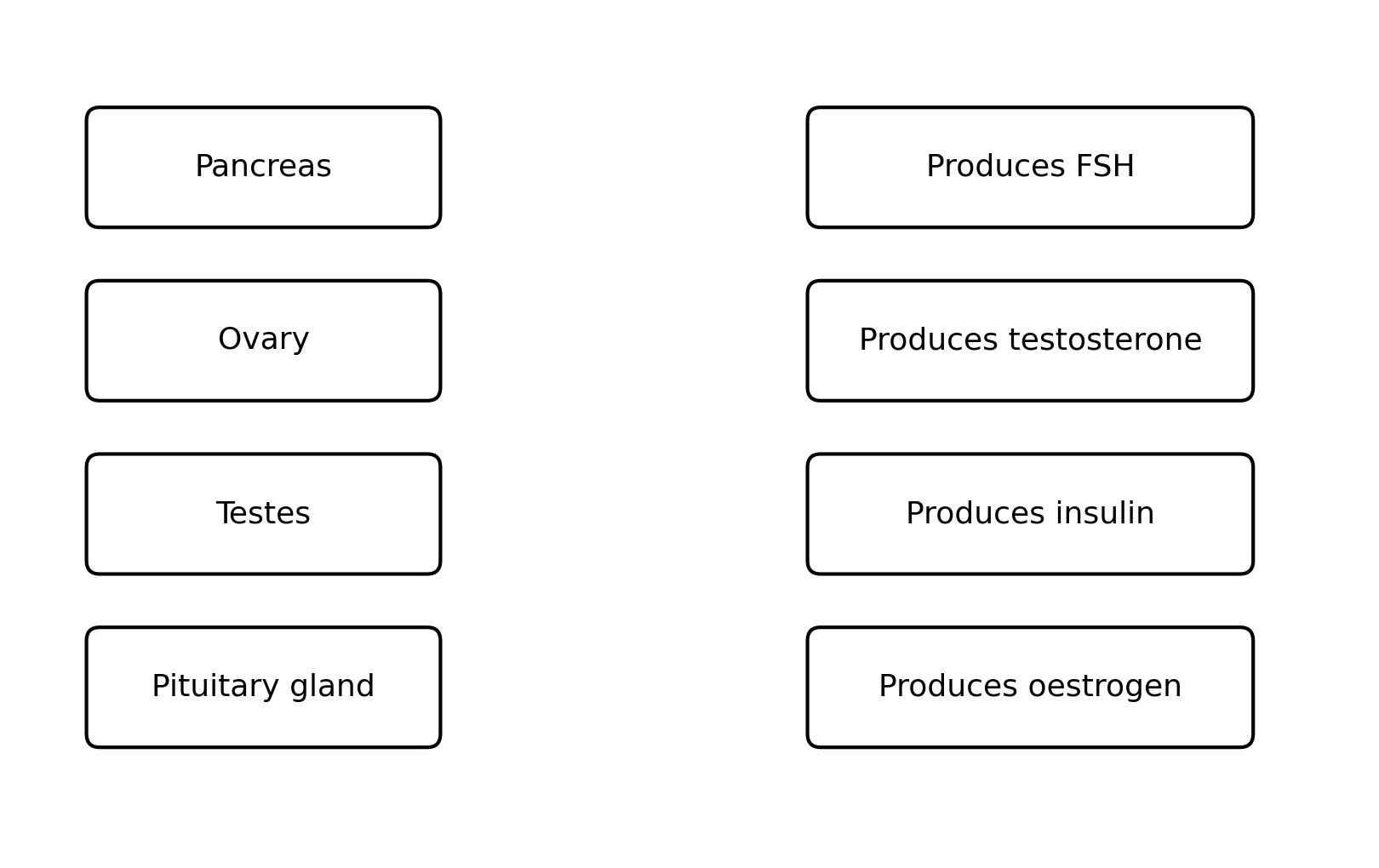 Chart matching glands with their functions: Pancreas with insulin, Ovary with oestrogen, Testes with testosterone, Pituitary gland with FSH.