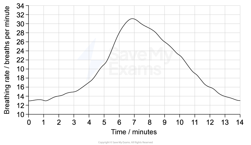 Line graph showing breathing rate over 14 minutes, peaking at 32 breaths per minute at 7 minutes, then declining steadily.