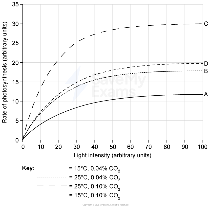 Graph showing photosynthesis rate versus light intensity with four curves labelled A to D for different temperatures and CO2 levels.