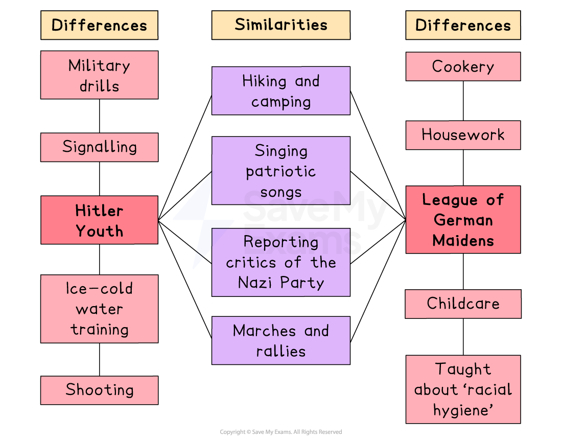 Diagram showing differences and similarities between Hitler Youth and League of German Maidens, including activities and roles in Nazi Germany.