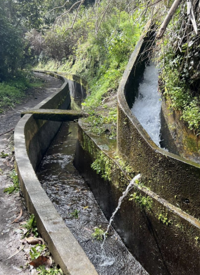 Narrow concrete water channels with flowing water, surrounded by lush greenery and trees. A small waterfall enters the channel on the right.