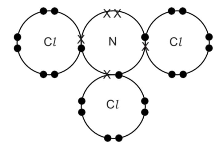Dot-and-cross diagram for nitrogen trichloride.