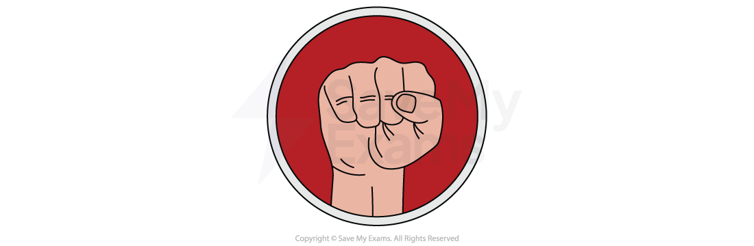 Illustration of a clenched fist in a circular frame with a red background, symbolising strength and unity.