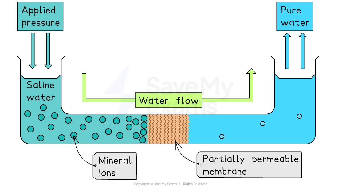 Diagram of reverse osmosis filtering saline water into potable water using applied pressure and a partially permeable membrane.