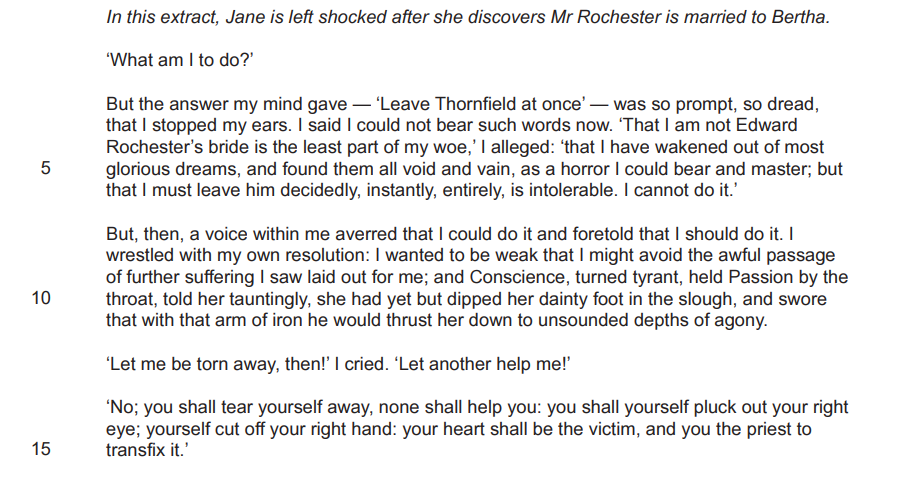 Text from "Jane Eyre" where Jane is distressed, contemplating leaving Thornfield after learning Mr Rochester is married to Bertha, expressing internal conflict.