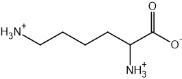 Chemical structure of lysine with both amine groups protonated to NH3+ and the carboxylic acid group deprotonated to COO-.