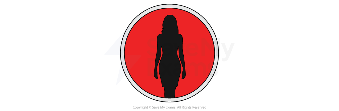 Silhouette of a woman standing in a black dress, set against a red circular background with a white border.