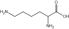 Structural formula of the amino acid lysine, showing six carbon atoms connected with NH2 groups and a carboxyl group on the right.