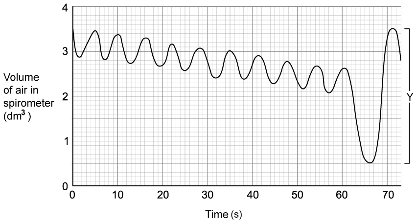 Graph showing air volume in a spirometer over time. Y-axis: 0 to 4 dm³, X-axis: 0 to 70 seconds, with a wavy line indicating fluctuating volume.