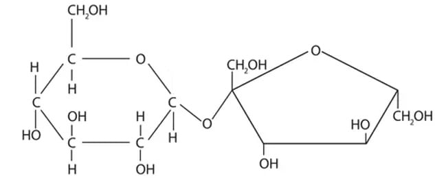 Structural formula of sucrose, showing a glucose and fructose ring linked by an oxygen bridge. Elements include carbon, hydrogen, and oxygen.