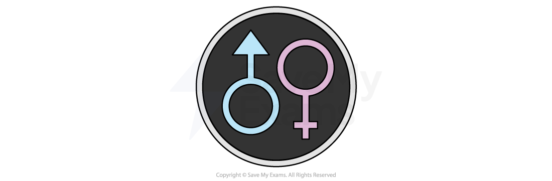 Symbols for male and female in blue and pink on a black circular background, representing gender.