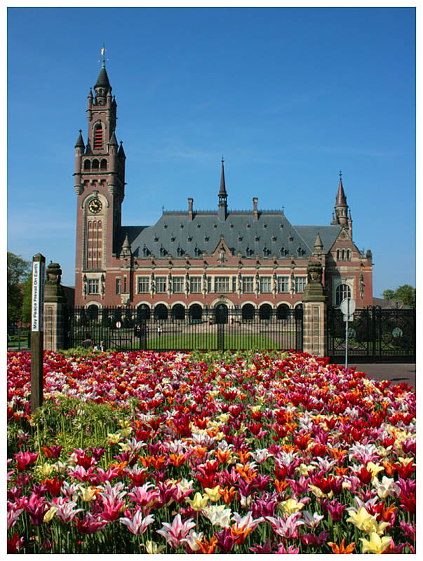 Historic Gothic-style building with a clock tower under a blue sky, framed by a vibrant field of red, pink, and yellow tulips in the foreground.