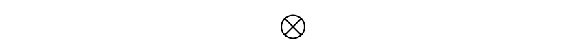 A circle with a cross (×) in the centre, representing a current-carrying wire with the current flowing into the page.